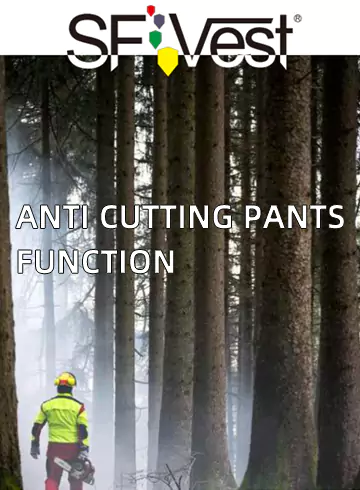 Chainsaw Catalog